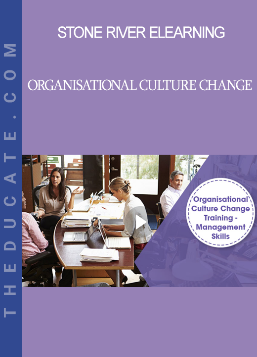 Stone River Elearning - Organisational Culture Change