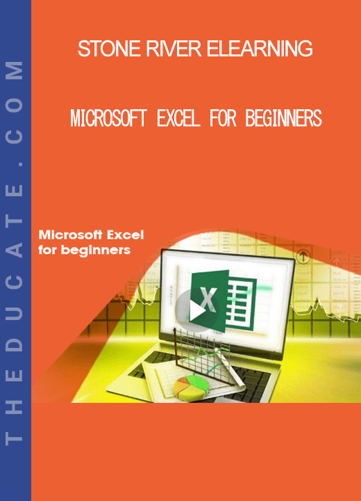 Stone River Elearning - Microsoft Excel for Beginners