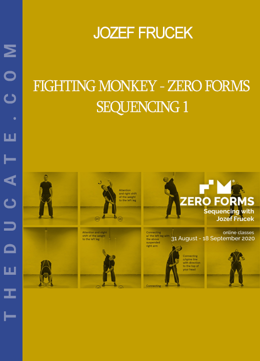 Jozef Frucek - Fighting Monkey - Zero Forms Sequencing 1