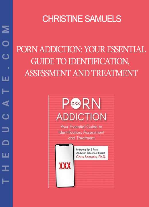 Christine Samuels - Porn Addiction: Your Essential Guide to Identification Assessment and Treatment