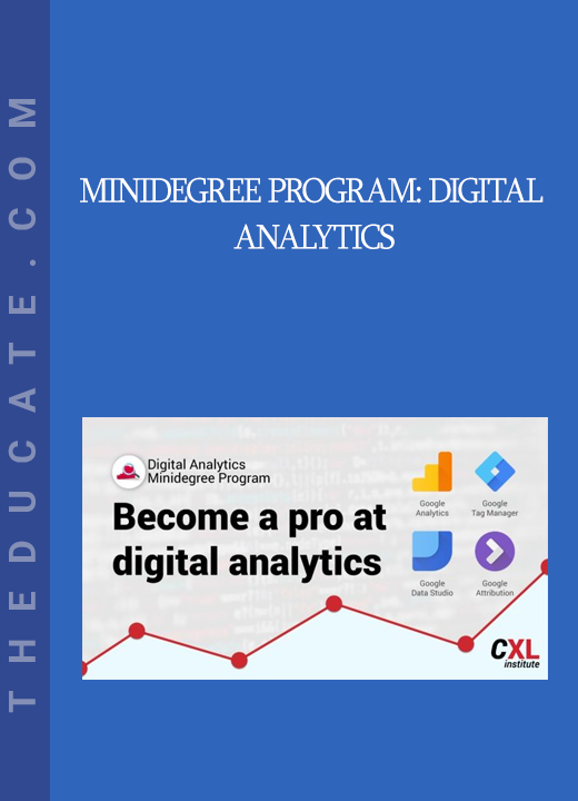 Minidegree program: Digital Analytics